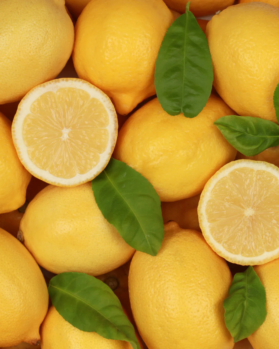 ZITRUSFRISCHE & KLÄRUNG (CITRUS)